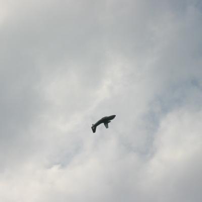 Airpower 2003 – Foto 18